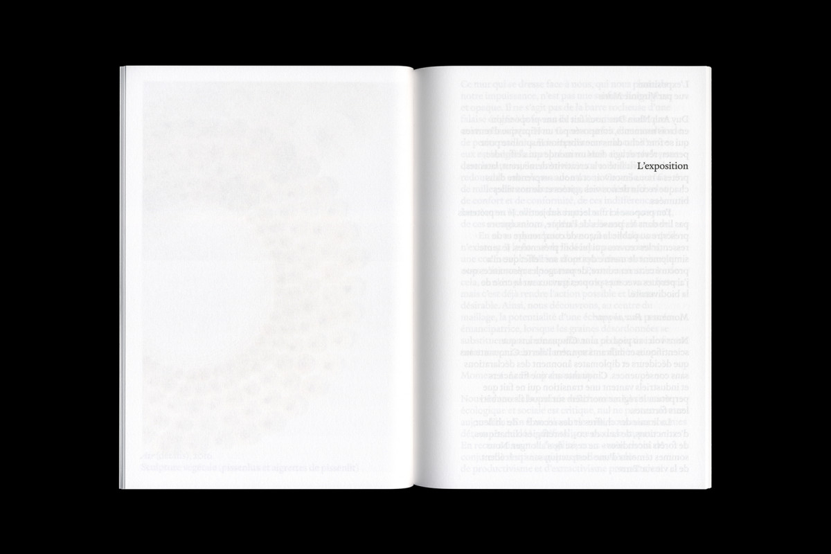 129-cltn-dand-96-20_21