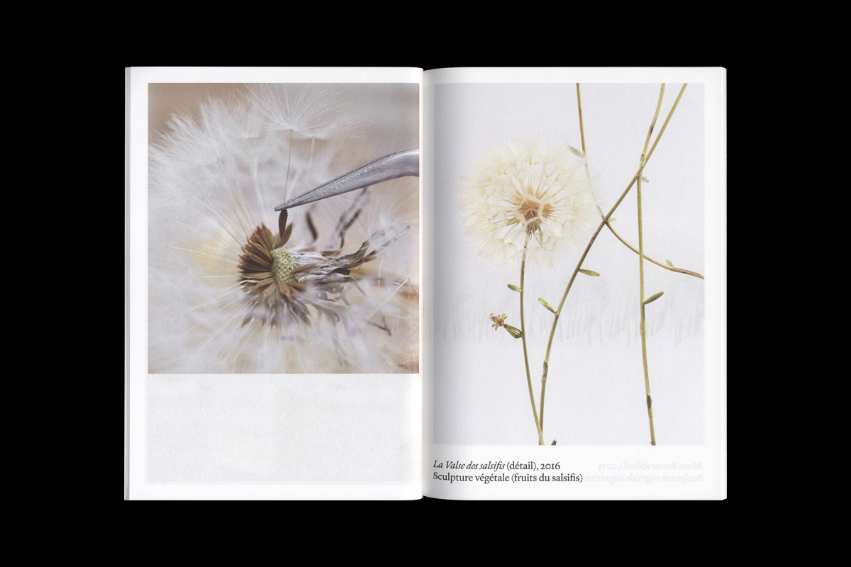 129-cltn-dand-96-14_15