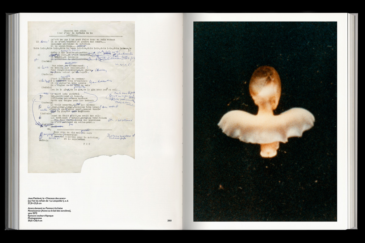 137-cltn-painleve-96-260_261