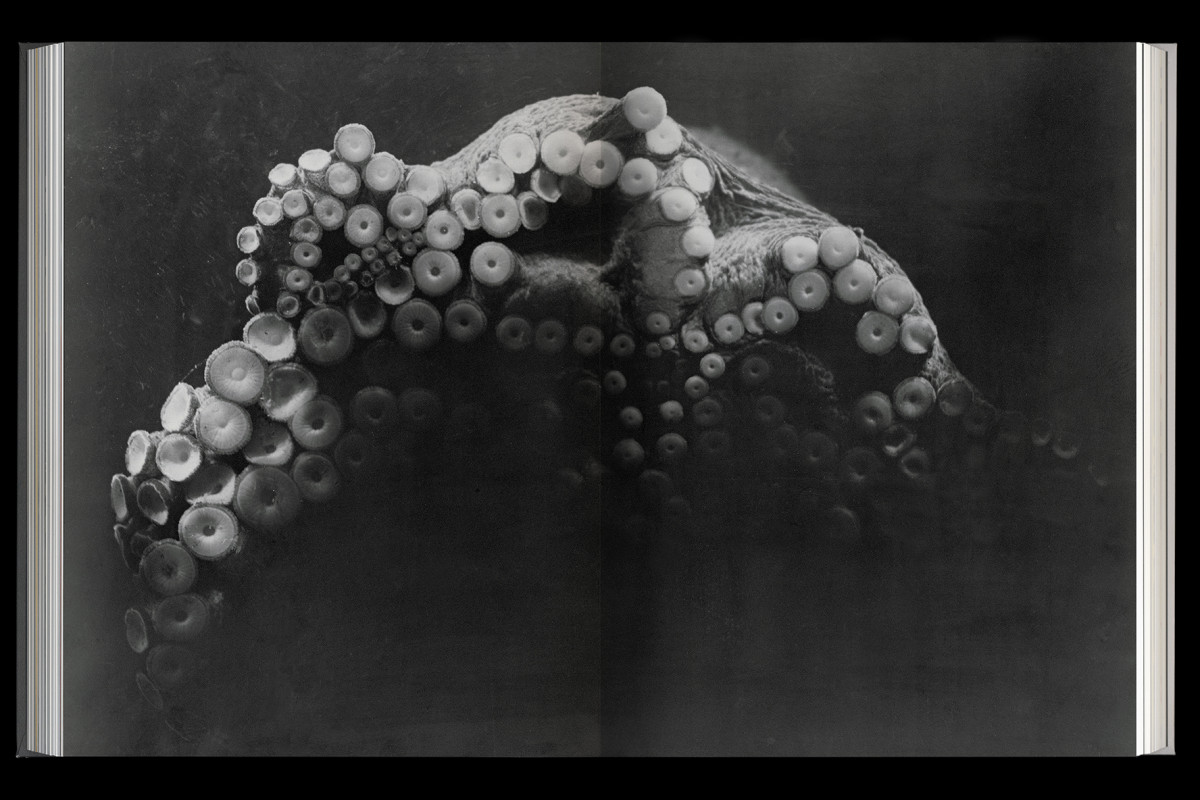 137-cltn-painleve-96-208_209