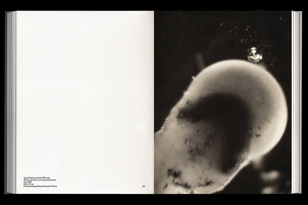 137-cltn-painleve-96-26_27