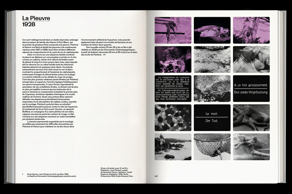 137-cltn-painleve-96-206_207