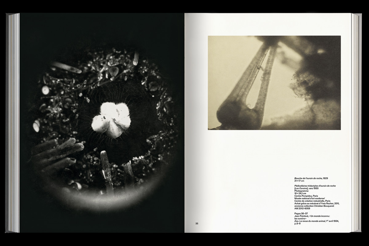 137-cltn-painleve-96-34_35