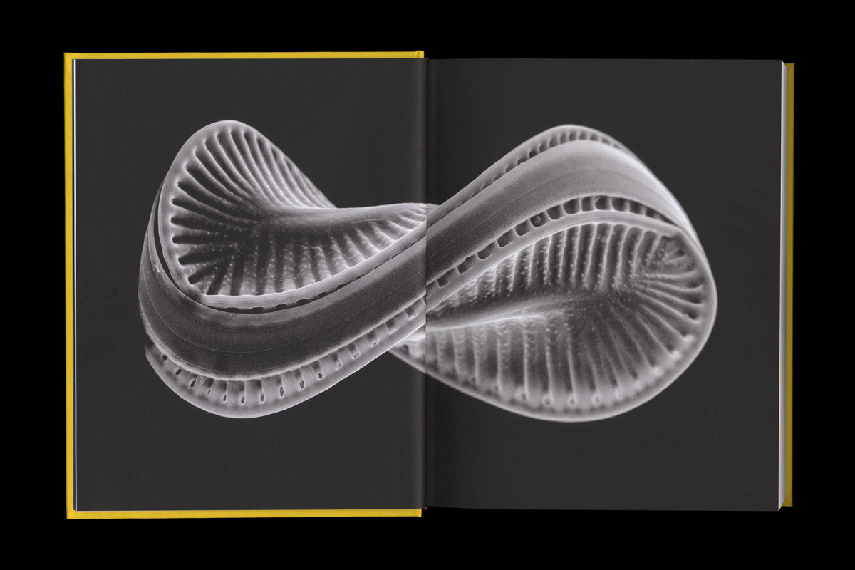 147-cltn-t_v_h-96-4_5