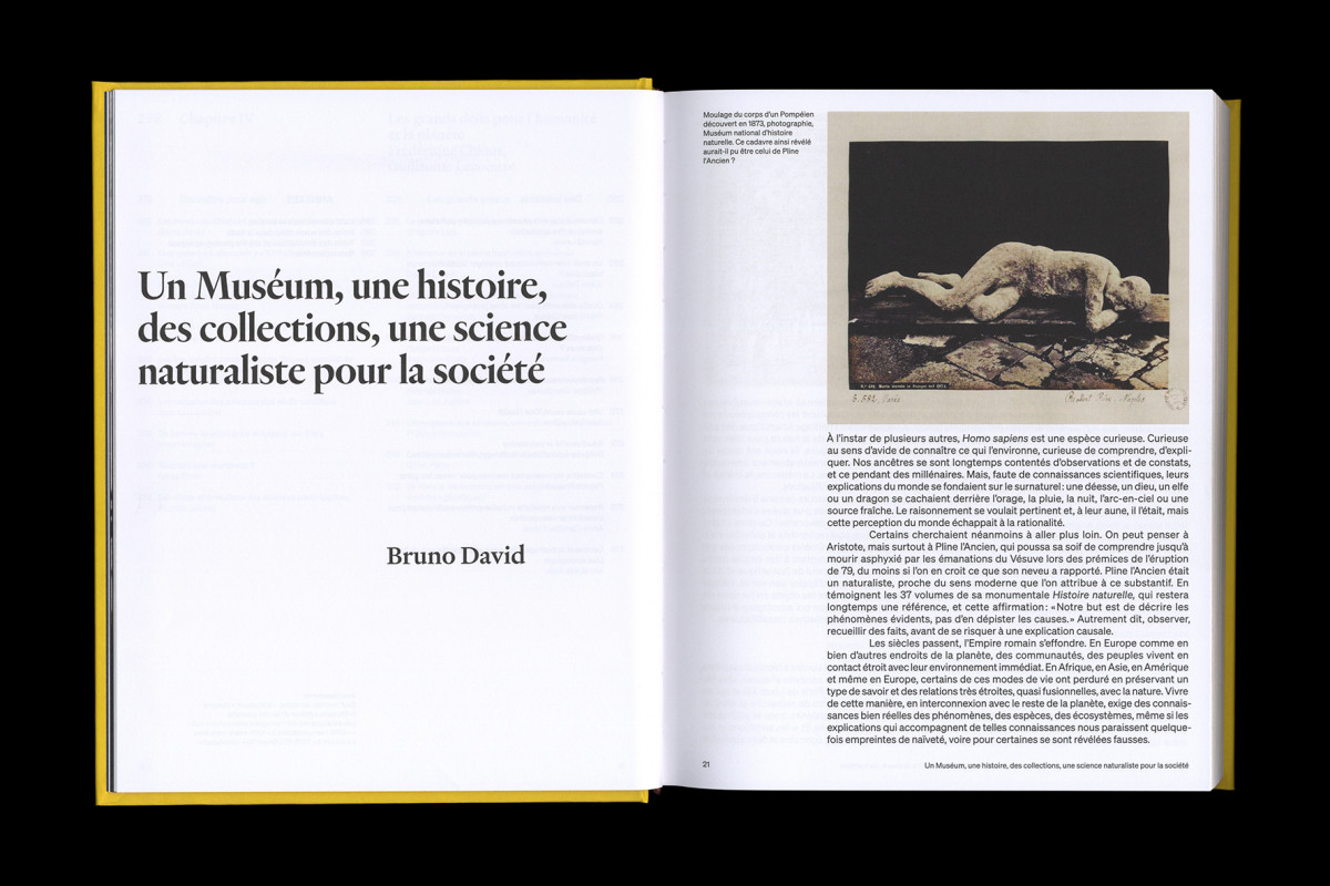 147-cltn-t_v_h-96-20_21