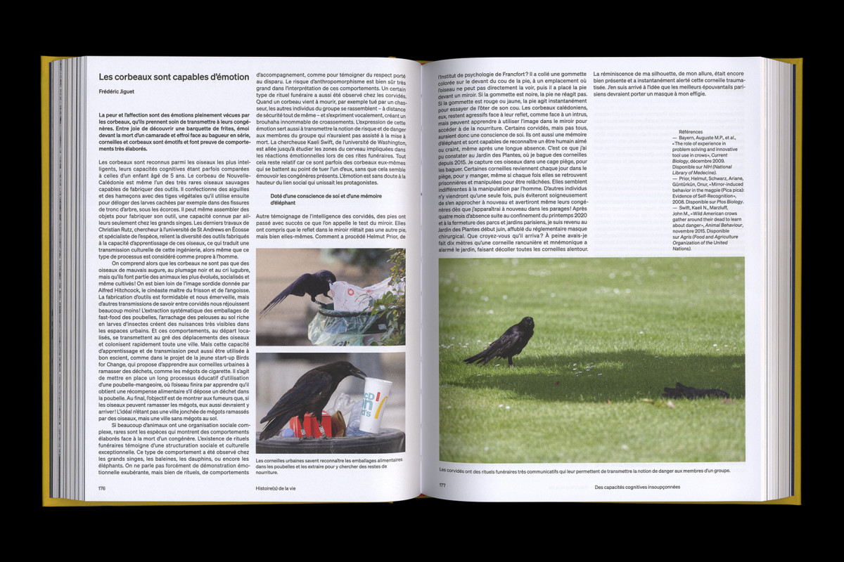 147-cltn-t_v_h-96-176_177