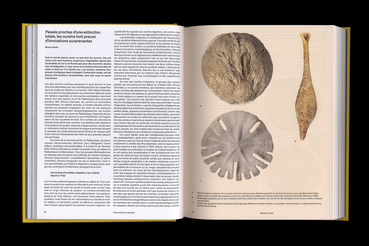 147-cltn-t_v_h-96-92_93