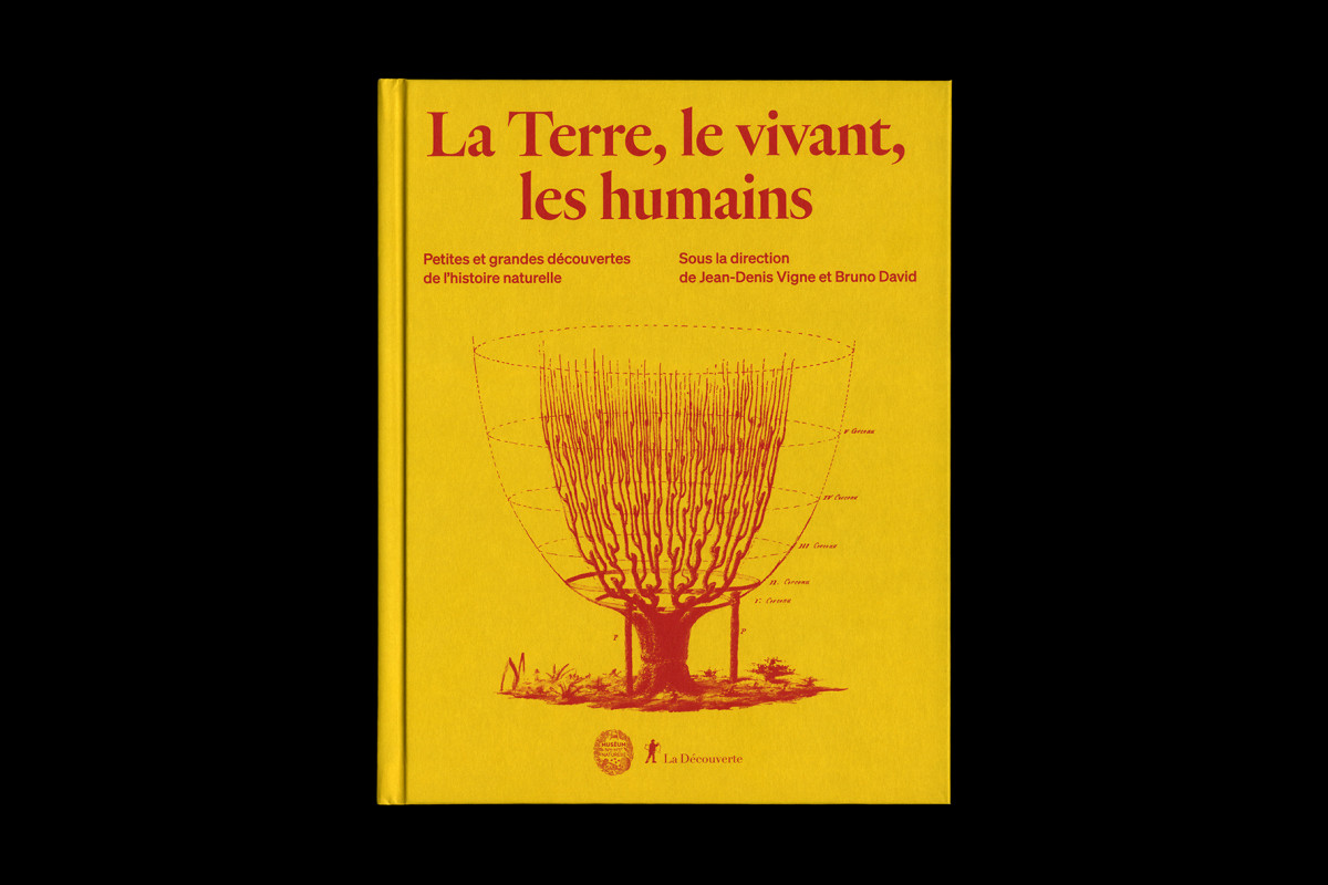 147-cltn-t_v_h-96-00_1re_couv