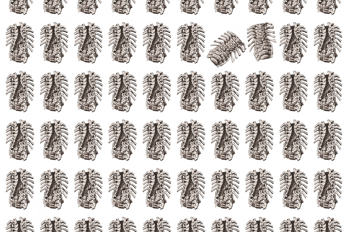 101-cltn-traversee_anatomique-96-05