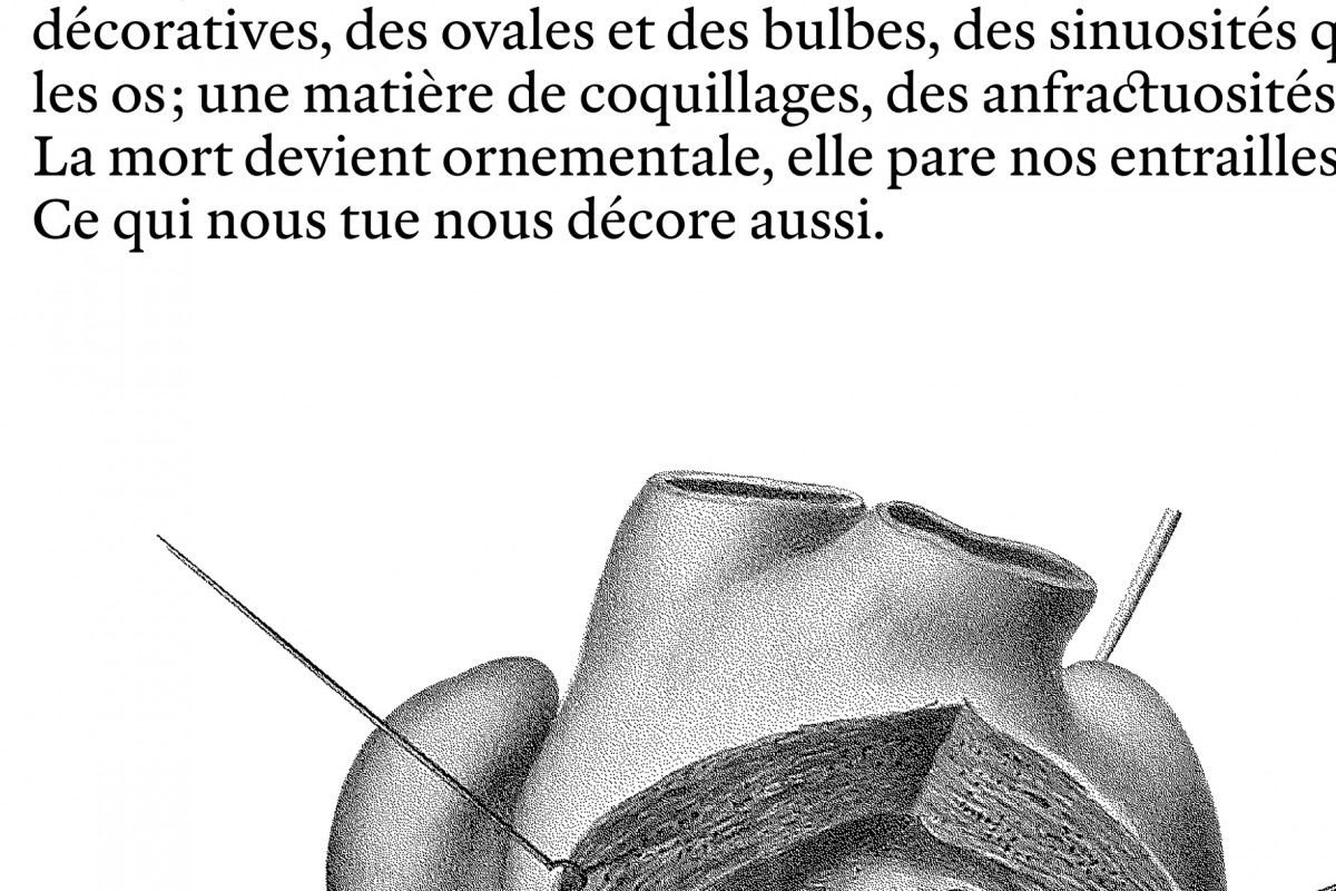 101-cltn-traversee_anatomique-96-02