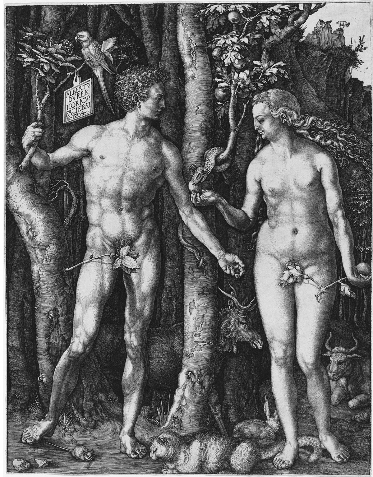 cltn-immortel-v2-34c