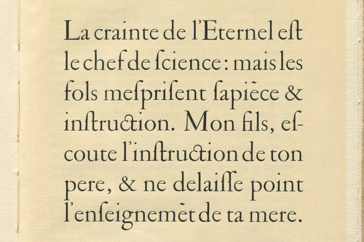 cltn-immortel-v2-16a