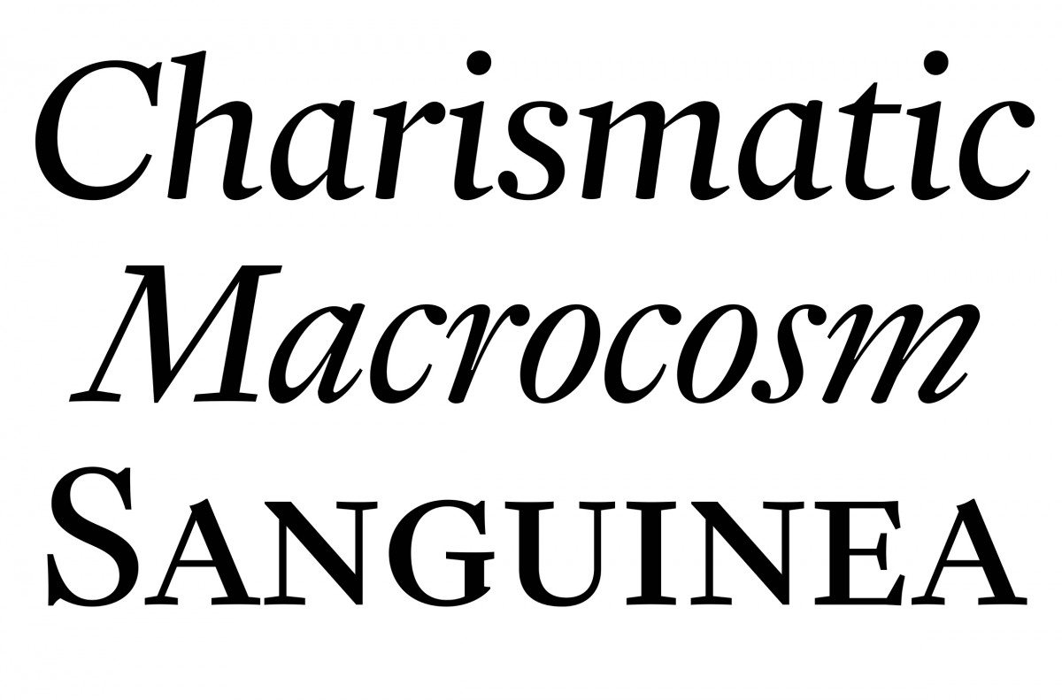 cltn-immortel-v2-20b